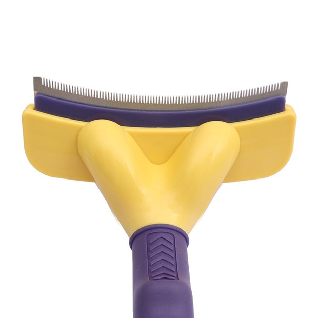 Teddy Golden Retriever Hair Removal Comb